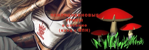 таблы Алексин